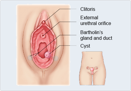 Katta klitoris mazali bolganda Katta klitoris mazali bolganda